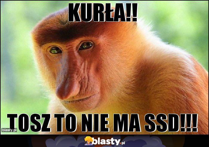 KURŁA!!