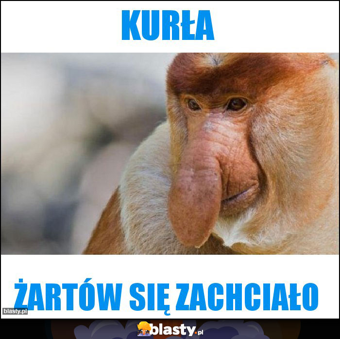 Kurła