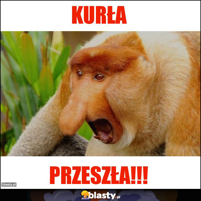 kurła