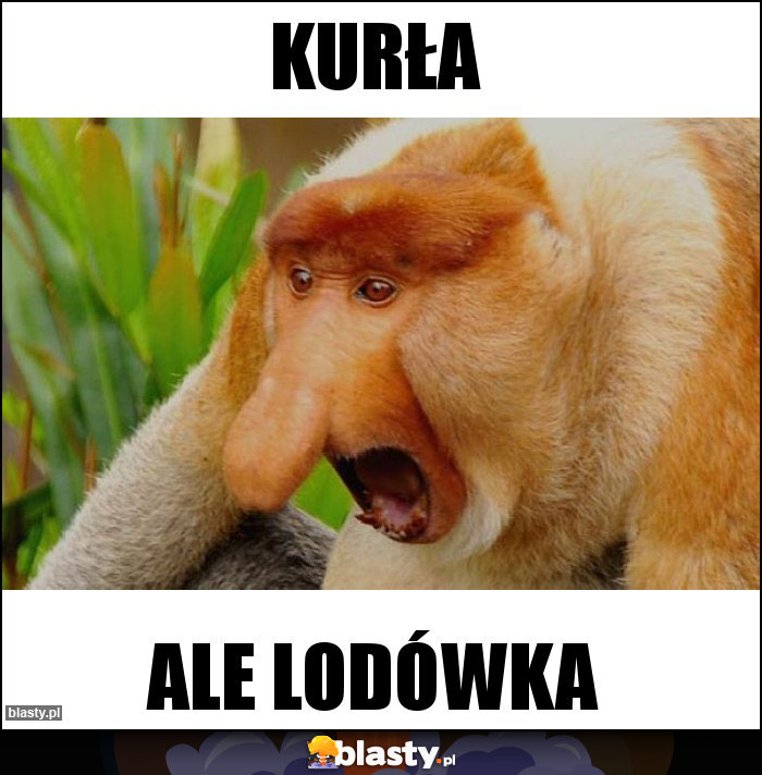 Kurła