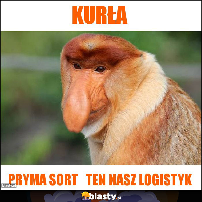 KURŁA