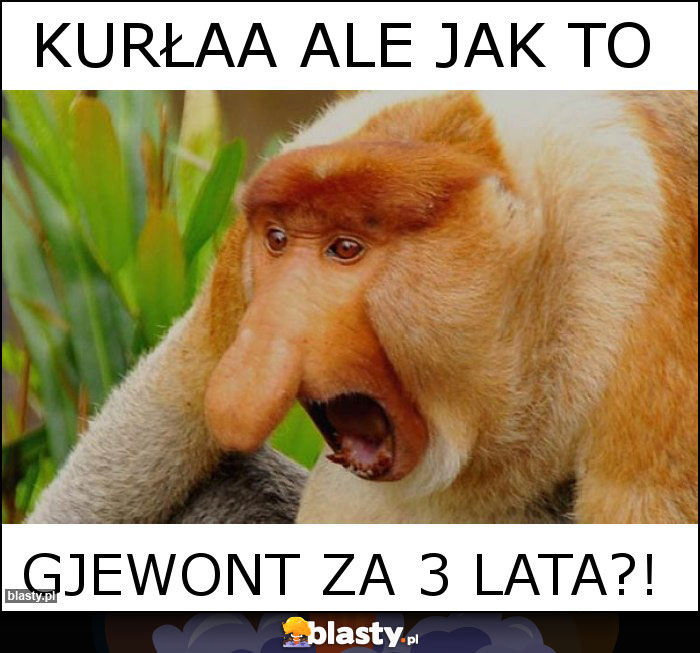 KURŁAA ALE JAK TO