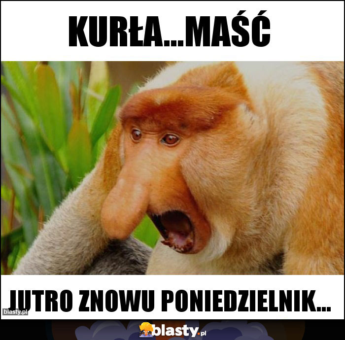 Kurła...maść