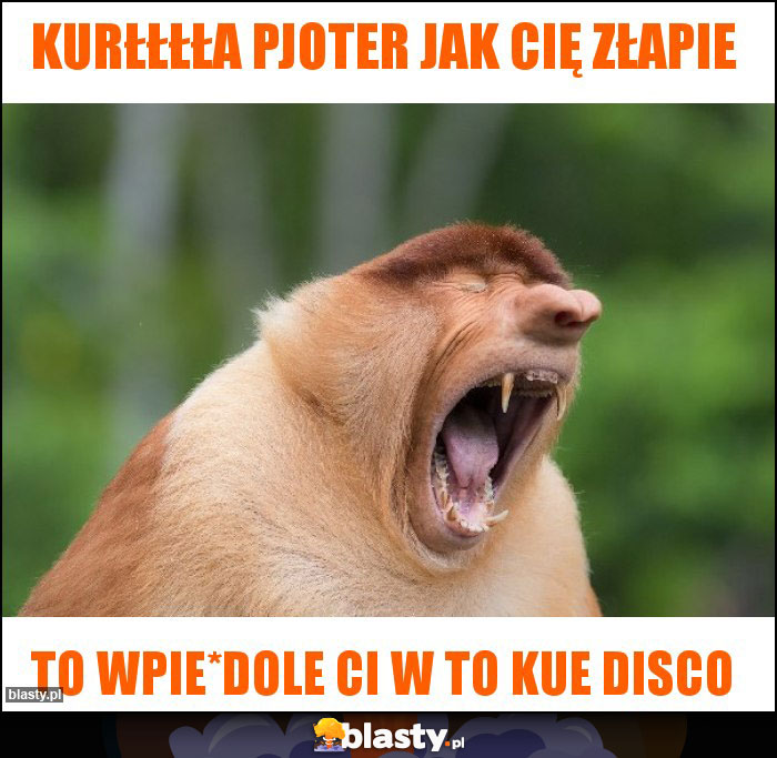 Kurłłłła pjoter jak cię złapie