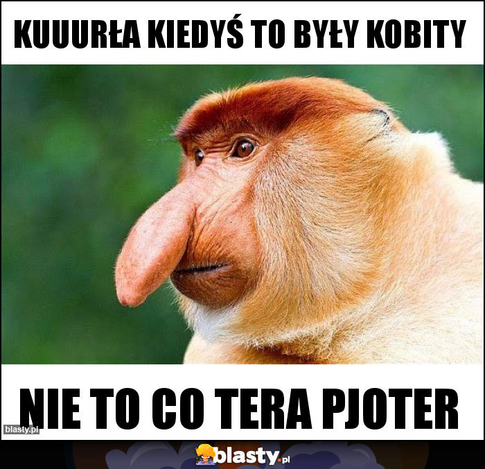 Kuuurła kiedyś to były kobity