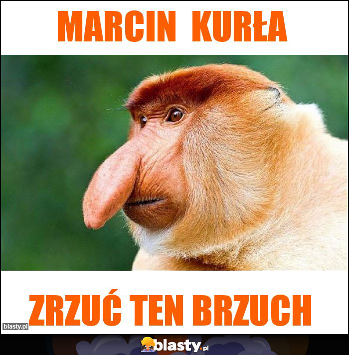 Marcin  kurła