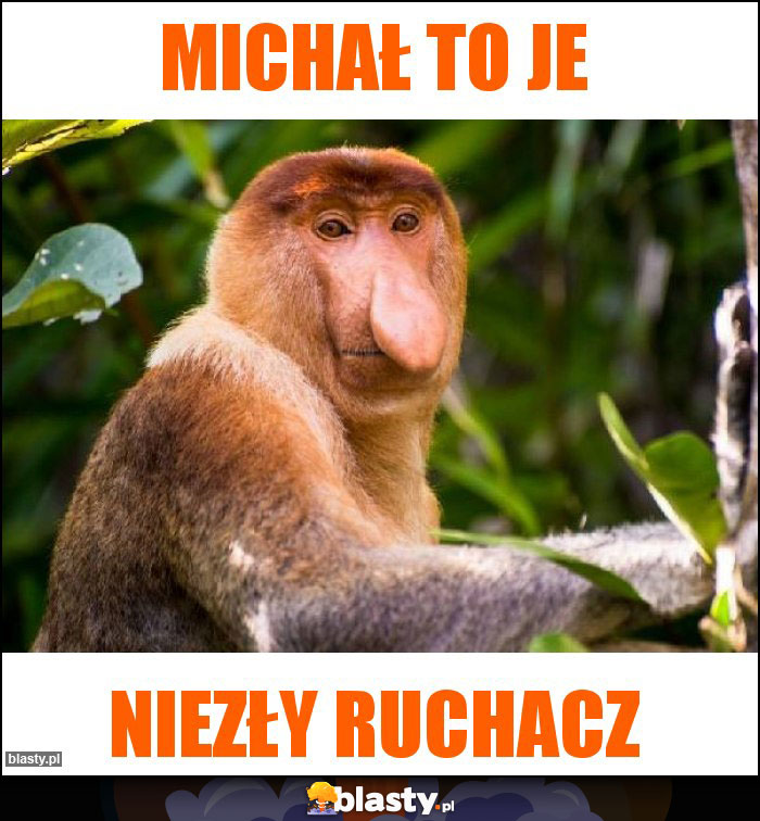 Michał to je