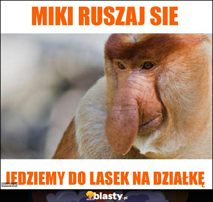 Miki ruszaj sie