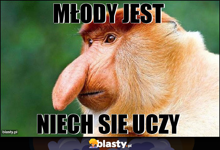 Młody jest