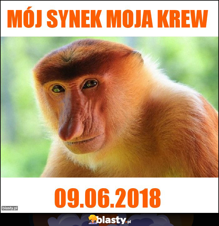 Mój synek moja krew