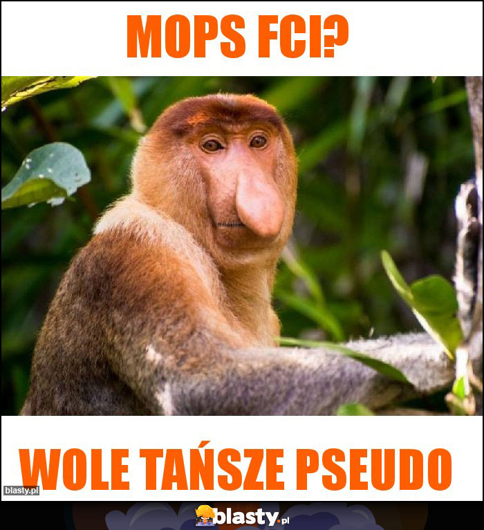 MOPS FCI?