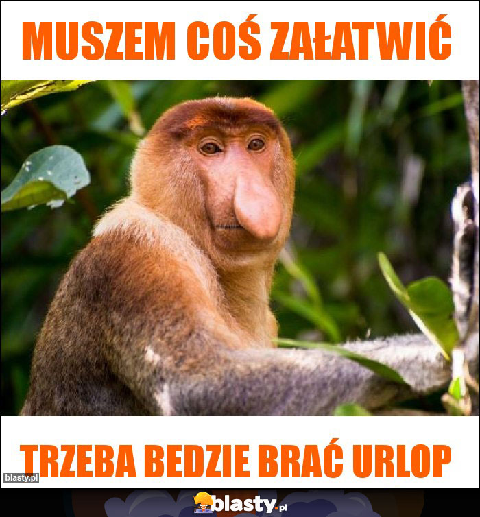 Muszem coś załatwić