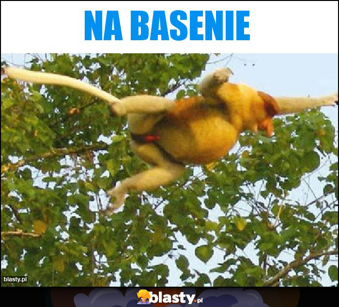 Na basenie