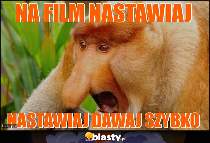 na film nastawiaj