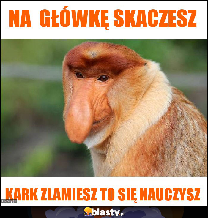 na  główkę skaczesz