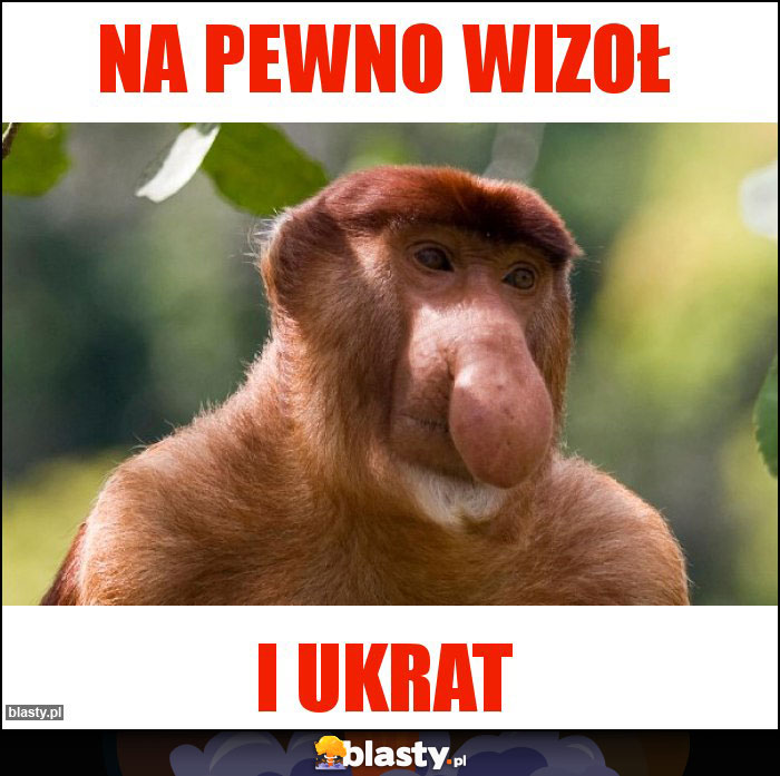 Na pewno wizoł