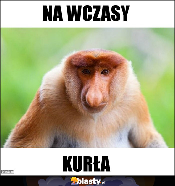 Na wczasy