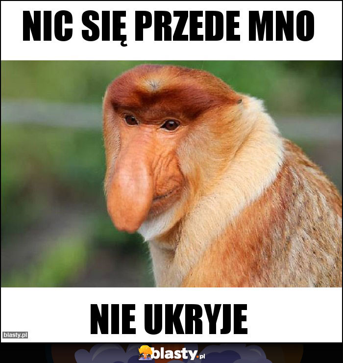 Nic się przede mno