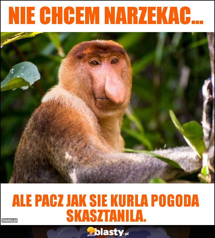 Nie chcem narzekac...