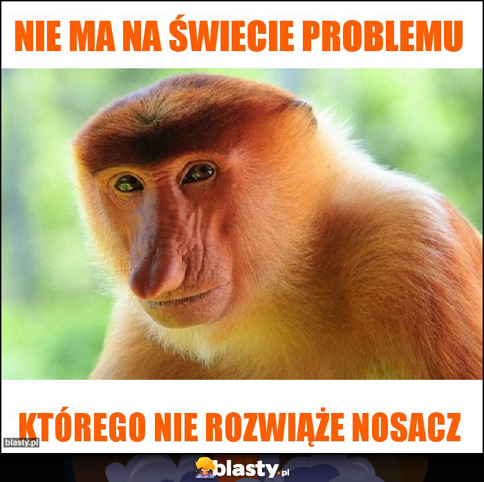 nie ma na świecie problemu