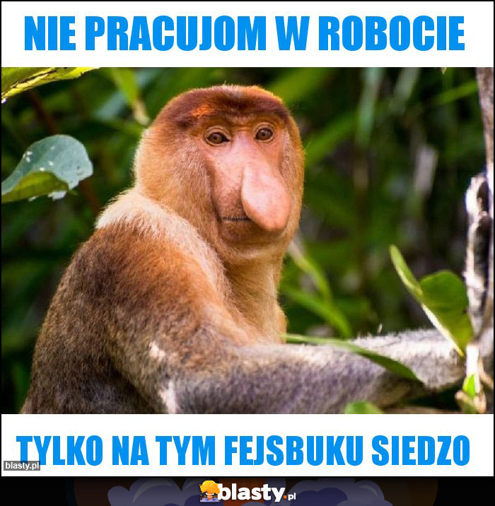 NIE PRACUJOM W ROBOCIE