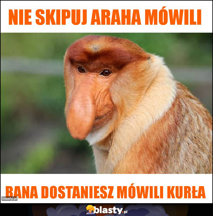 Nie skipuj araha mówili