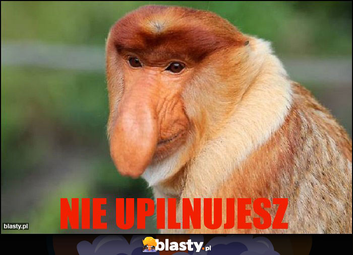 Nie upilnujesz