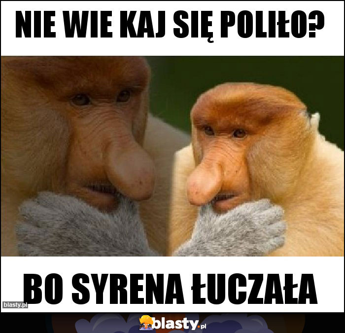 Nie wie kaj się poliło?