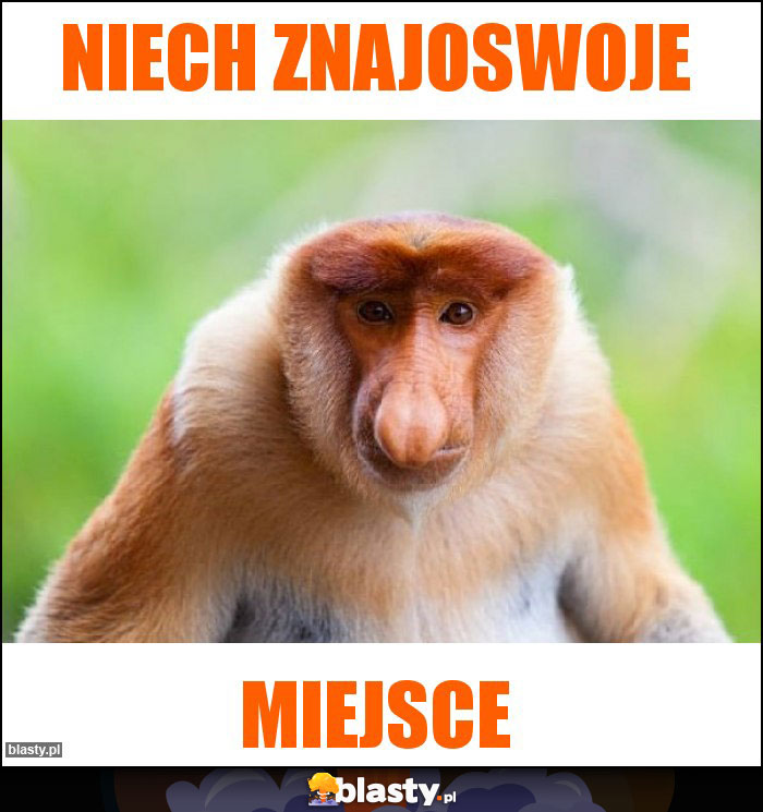 Niech znajoswoje