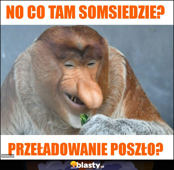 No co tam somsiedzie?