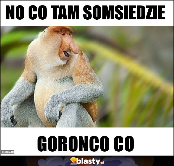 No co tam somsiedzie