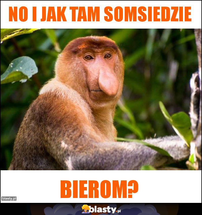 No i jak tam somsiedzie