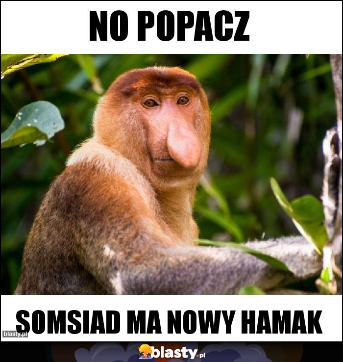 No popacz