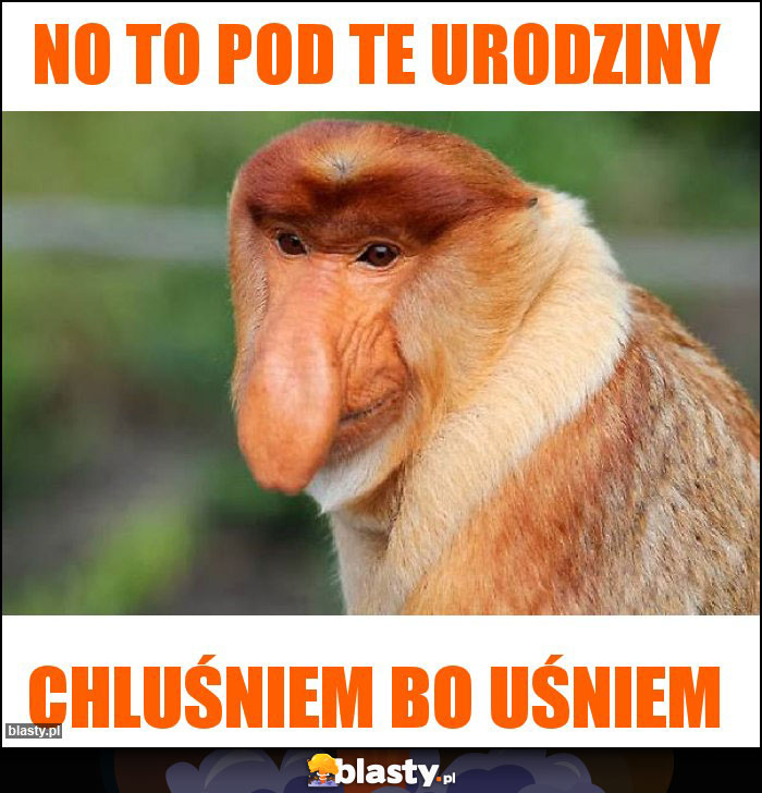 No to pod te urodziny