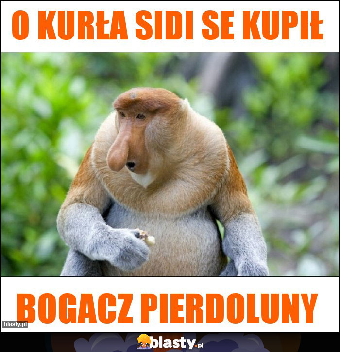 O kurła sidi se kupił