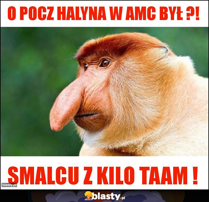 O pocz Halyna w AMC był ?!