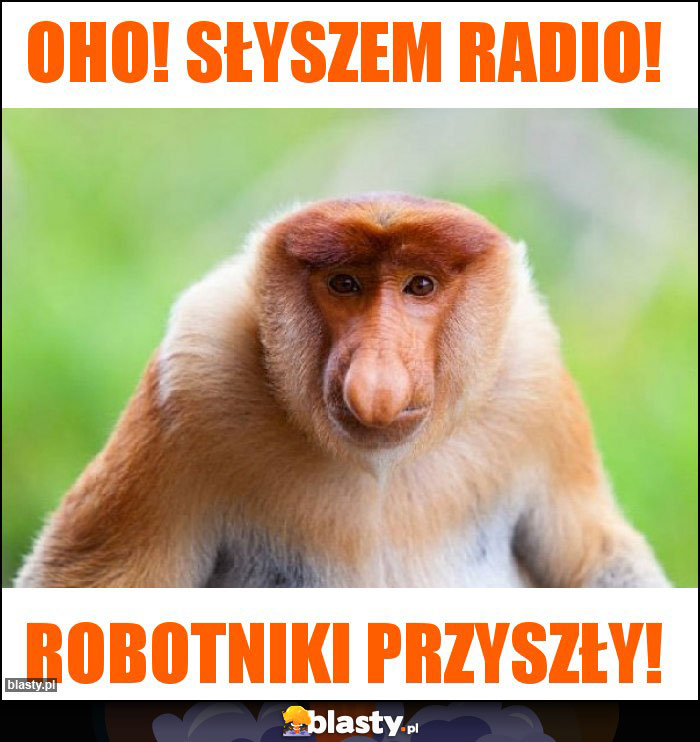 Oho! Słyszem radio!