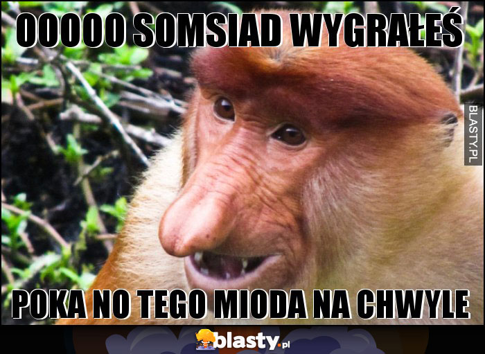 Ooooo somsiad wygrałeś