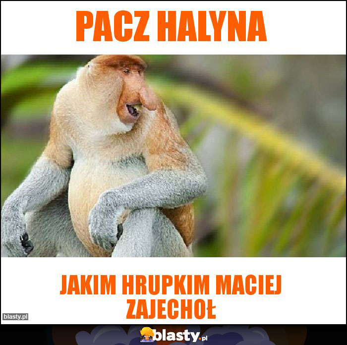 Pacz Halyna