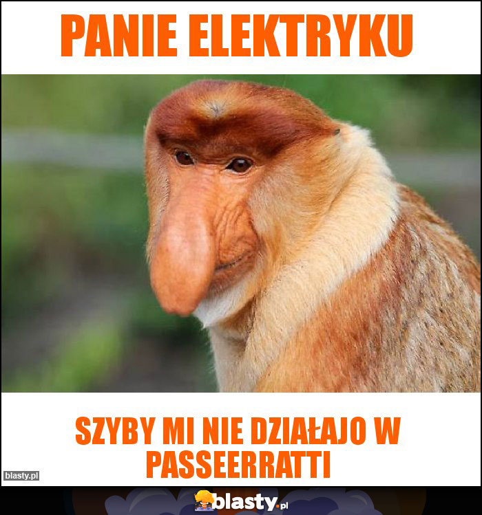 Panie elektryku