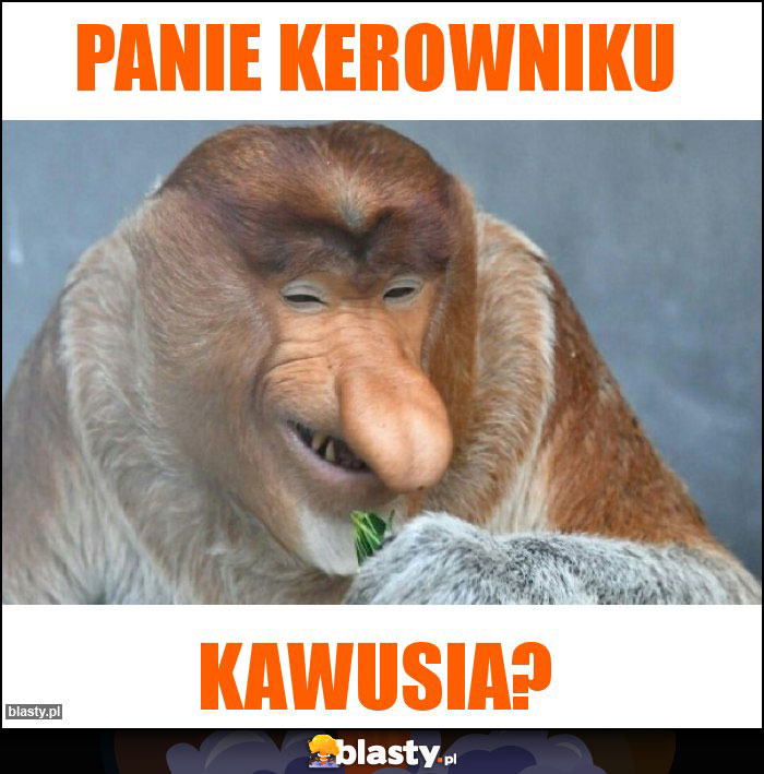 Panie Kerowniku