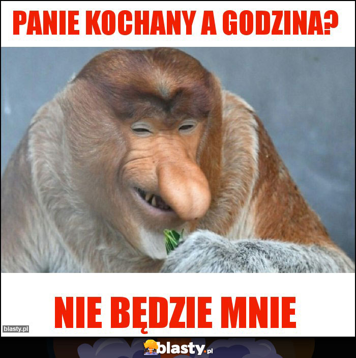 Panie kochany a godzina?