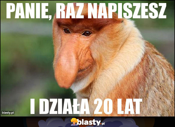 panie, raz napiszesz