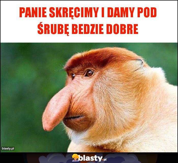 Panie skręcimy i damy pod śrubę bedzie dobre