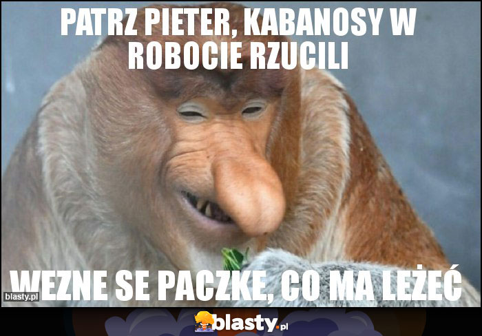 Patrz Pieter, Kabanosy w robocie rzucili