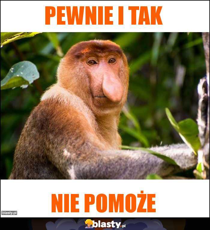 Pewnie i tak