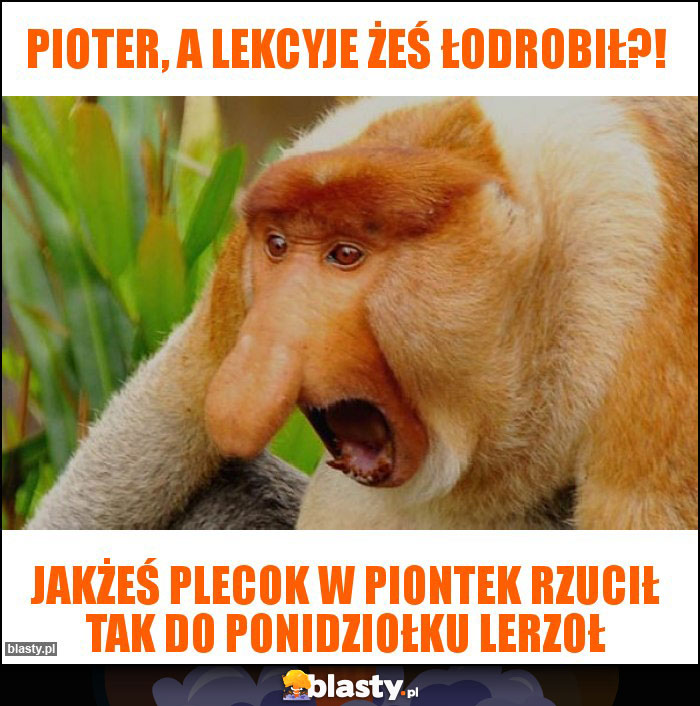 pioter, a lekcyje żeś łodrobił?!