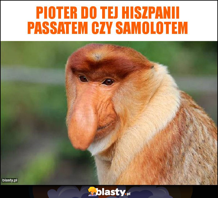 Pioter do tej Hiszpanii passatem czy samolotem