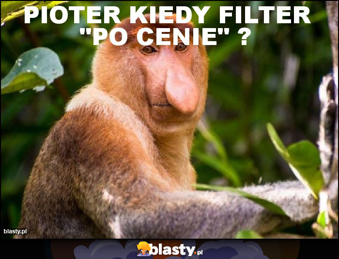 pioter kiedy filter 