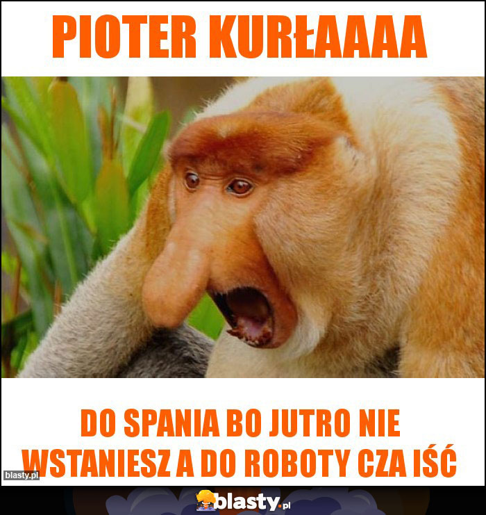 Pioter KURŁAAAA